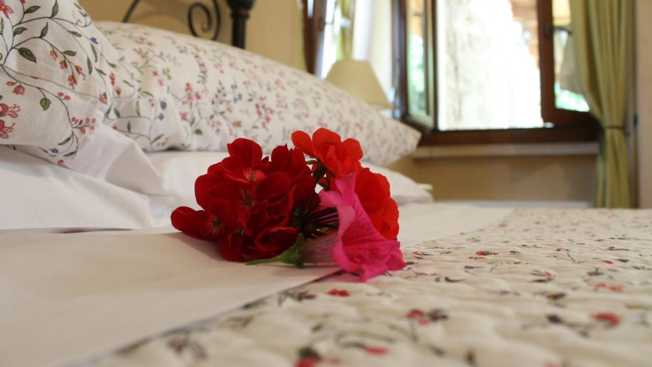 B&B Lo Gnomo Pennapiedimonte Екстер'єр фото